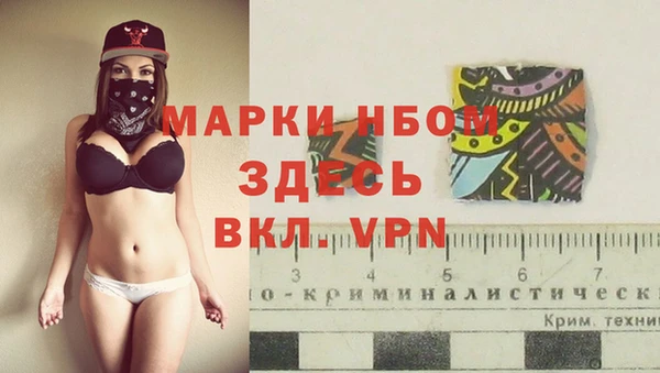 стаф Покровск