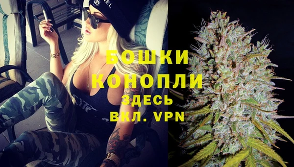 твердый Протвино