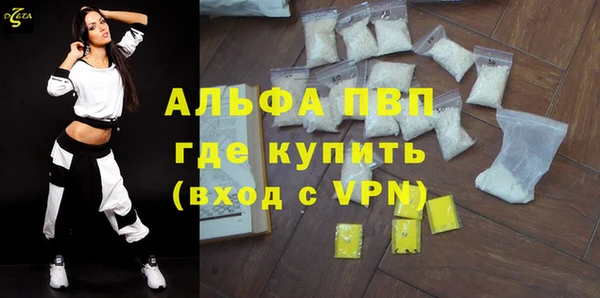шишки Покачи