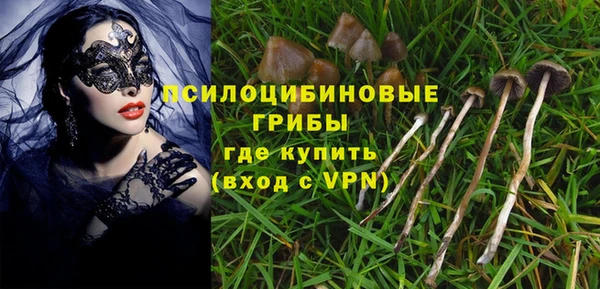 стафф Абаза
