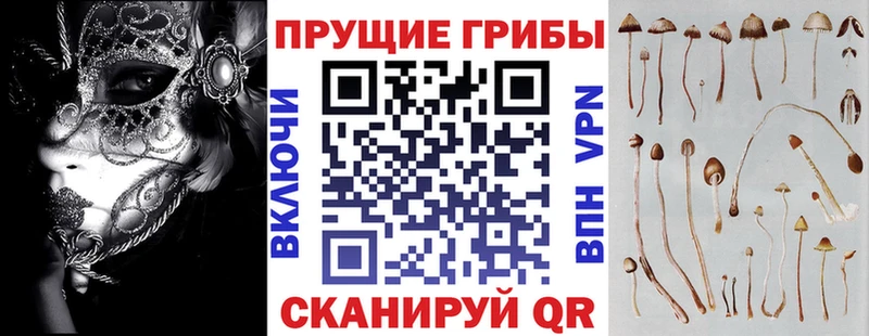 Псилоцибиновые грибы мухоморы  где найти   Братск 