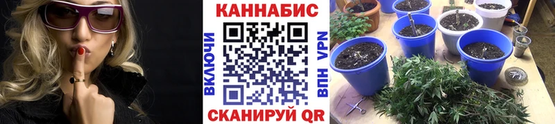 Бошки Шишки индика  Братск 